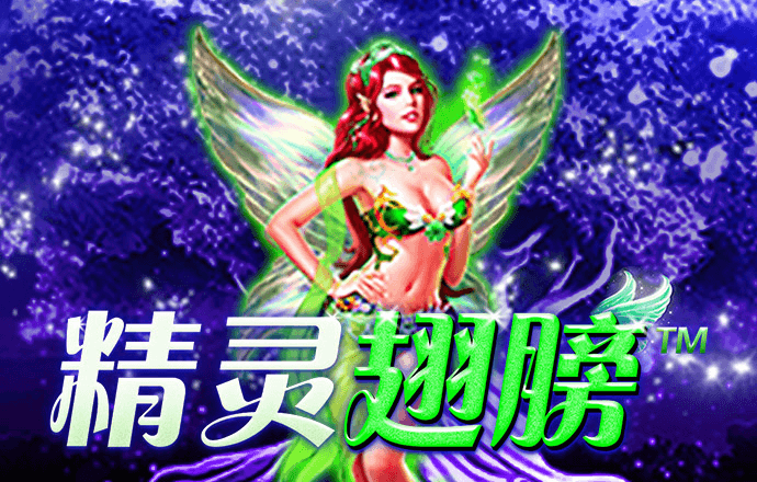 565体育平台app