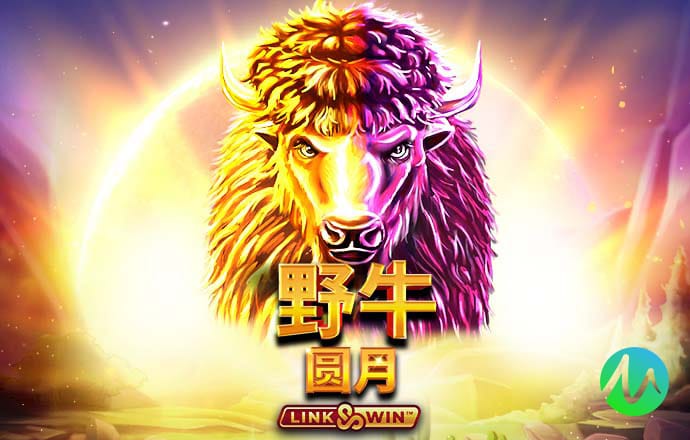 华体育会app手机网页登录app